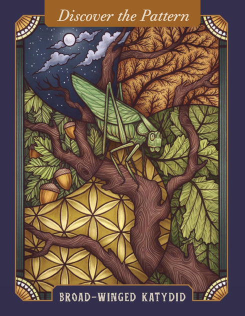 THE ILLUSTRATED BEASTIARY  ORACLE CARDS - TOLL. MAIA; O'HARA. KATE